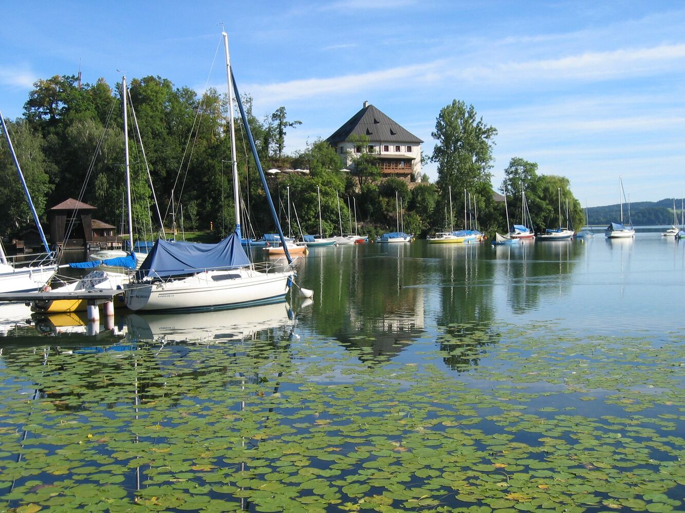 Mattsee