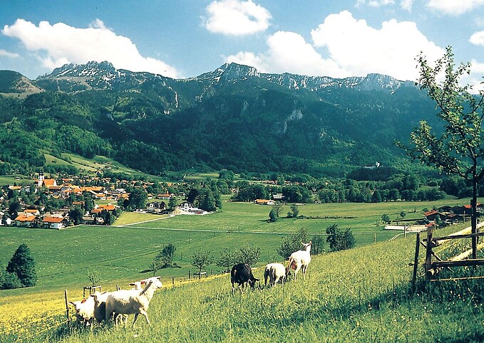 BERGFEX: Skigebied Kampenwandseilbahn / Aschau Im Chiemgau ...