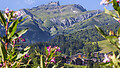 Region letni