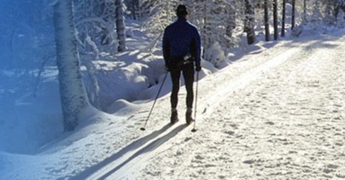 BERGFEX: Plan Des Pistes Clausthal - Zellerfeld: Ski De Fond Clausthal ...