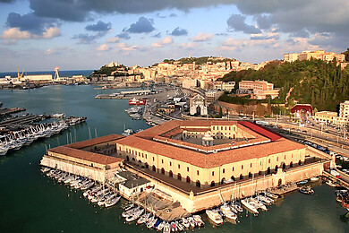 Ancona