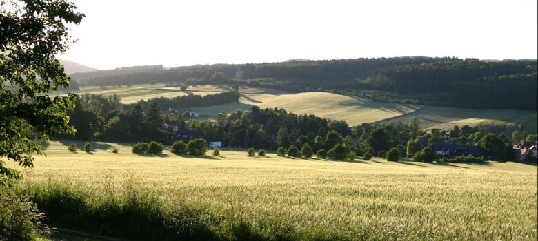 Gaaden
