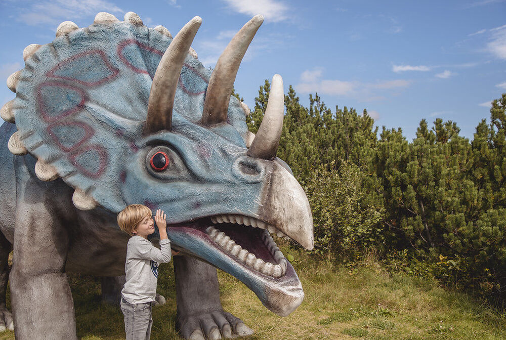 Triassic Park / Steinplatte Waidring