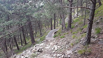 46 Latscher Sonnenberg mit Singletrailabfahrt Teil2