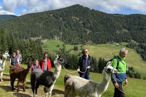 Lama-Trekking
