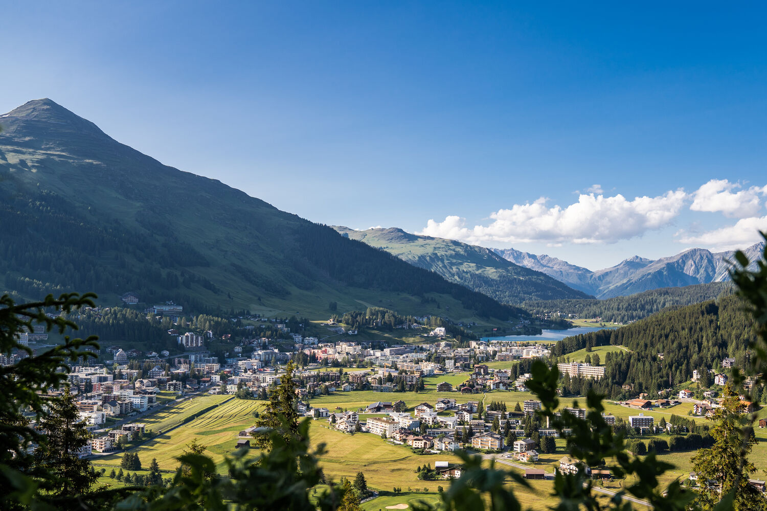 Davos