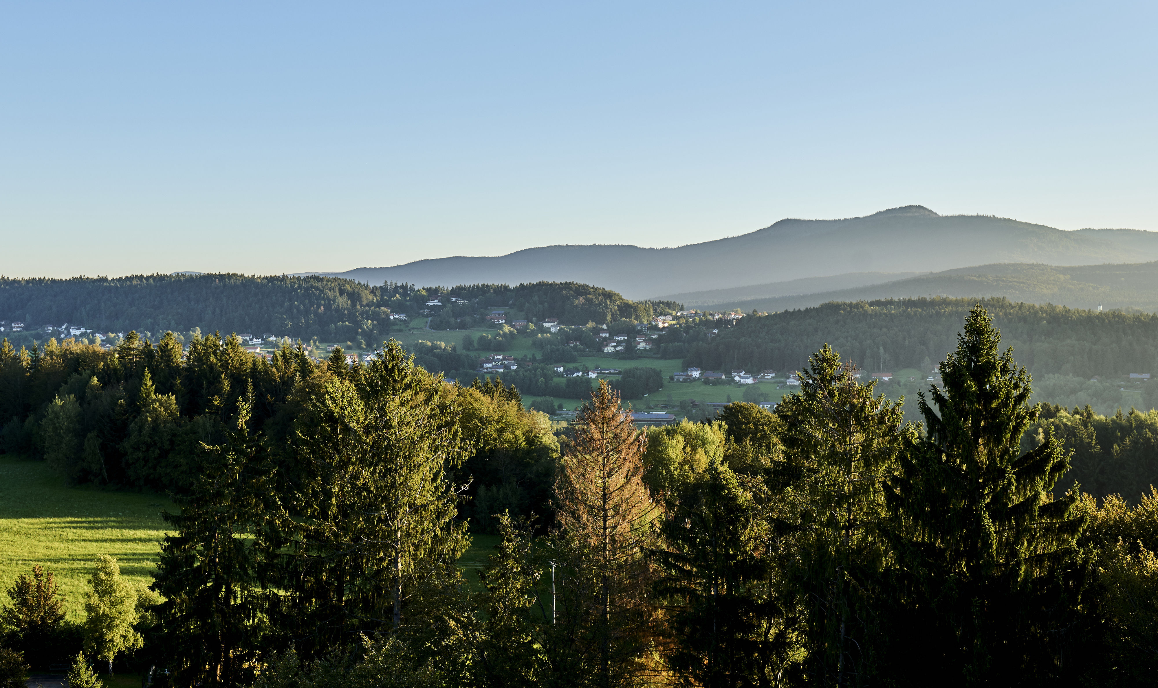BERGFEX: Panoramakarte Spiegelau: Karte Spiegelau - Alm - Spiegelau