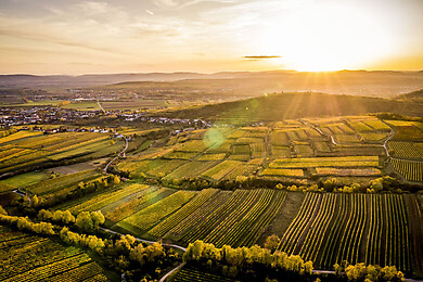 Straß im Straßertale