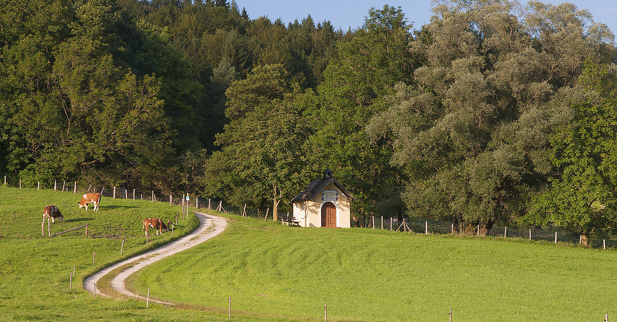 Talrunde Aufham Piding Bergfex Wanderung Tour Bayern