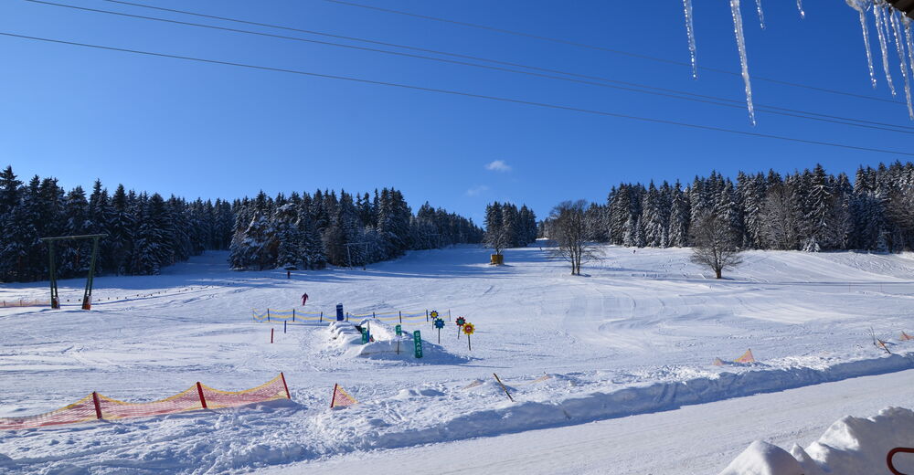 Pistenplan Skigebiet Sandl / Viehberg