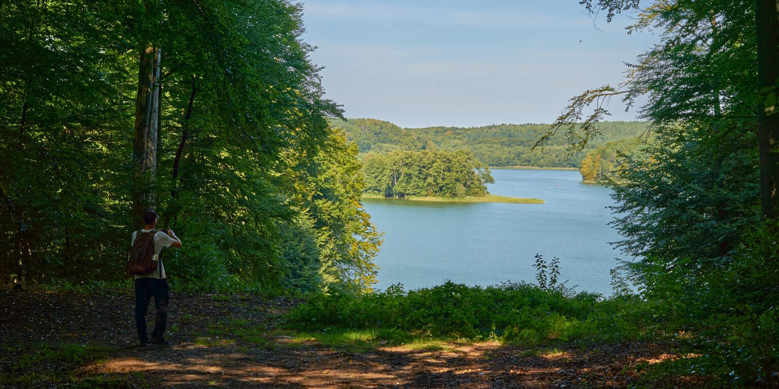 Ruppiner Seenland