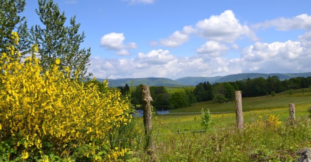 Der schwarze Teich BERGFEX Wanderung Tour Grand Est
