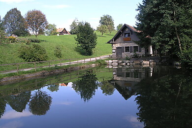 Wolfurt