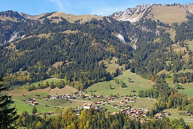 Oberwil im Simmental