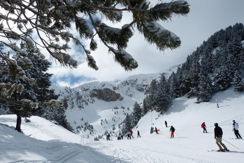 Masella / Alp 2500