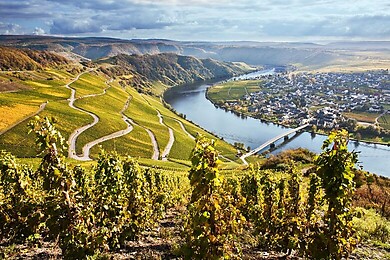 Mosel-Saar