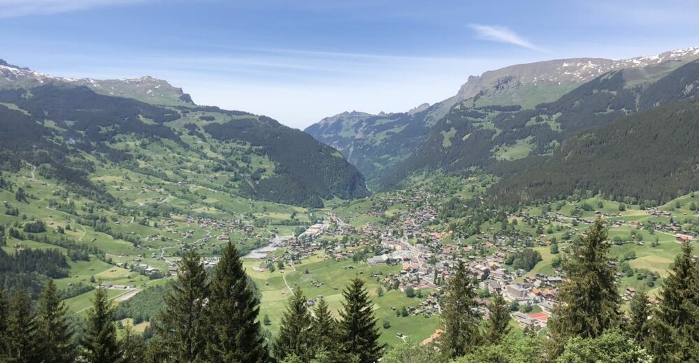 Grindelwald - Bäregg - BERGFEX - Wanderung - Tour Berner Oberland