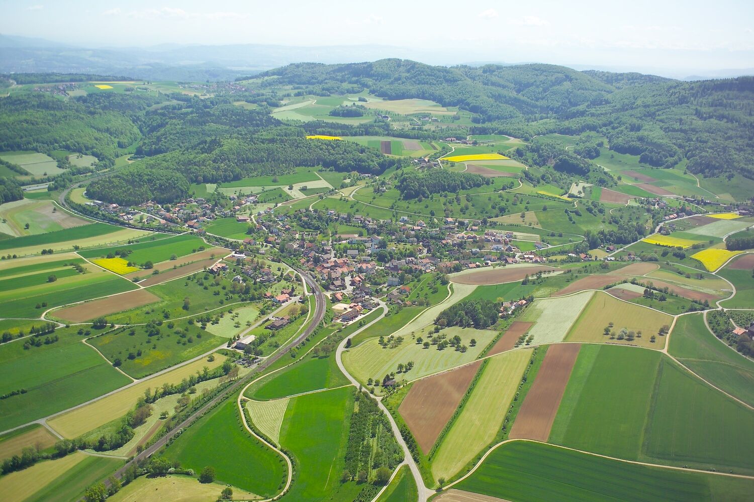 Zeihen