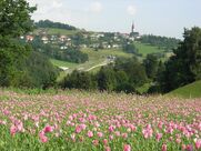Région d'été