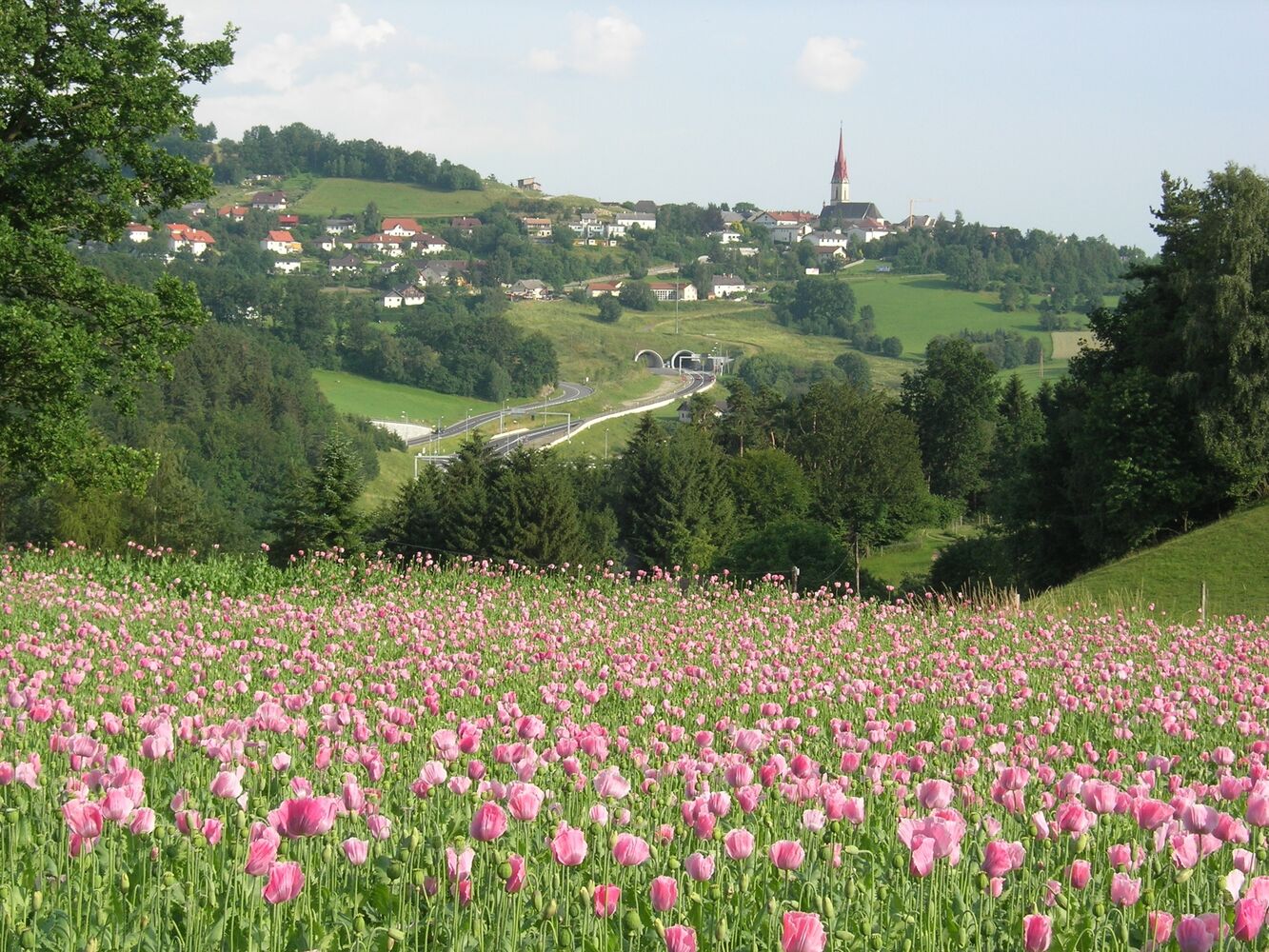 Neumarkt im Mühlkreis