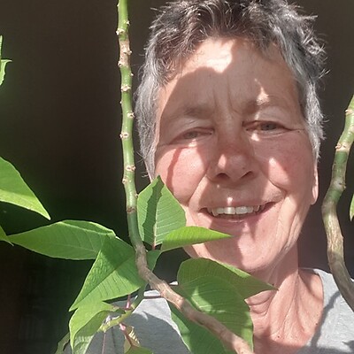 Аватар из Trinebiene