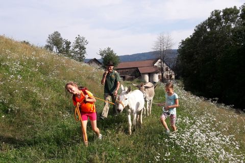 Esel Erlebnis - Wanderung