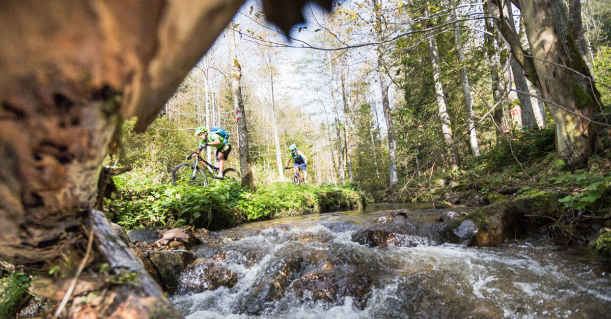 Böhmerwaldradweg R27 BERGFEX Radfahren Tour Oberösterreich