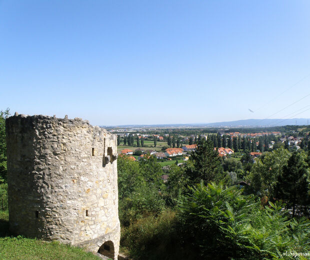 Wöllersdorf-Steinabrückl
