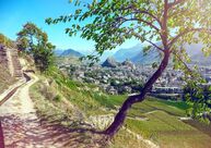 Sommerregion