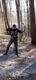 Avatar de Loki