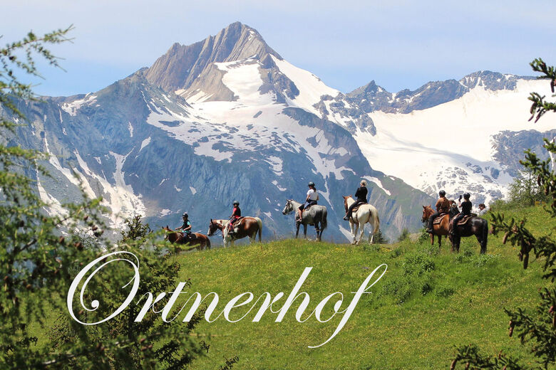 Der Ortnerhof - Hotel & Apartments