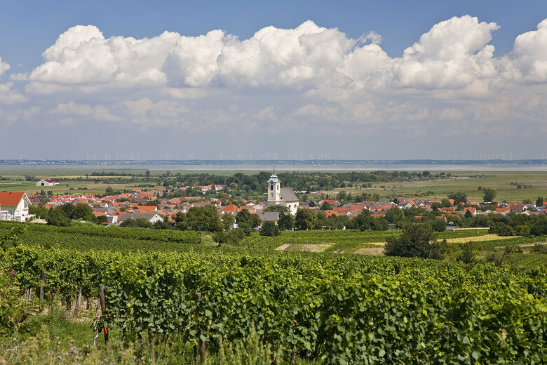 Oggau am Neusiedler See