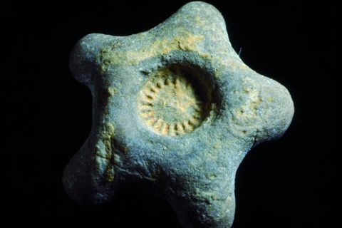 Chrinoid