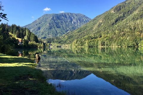 Freibacher Stausee