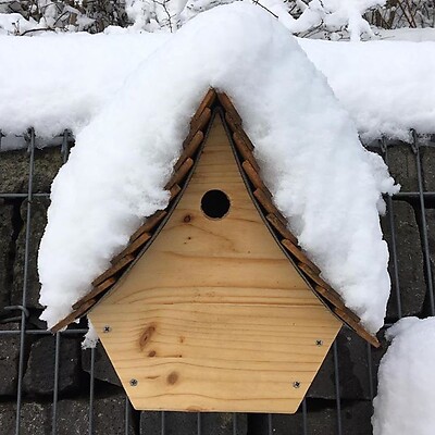 Avatar von Jürgen Brittner