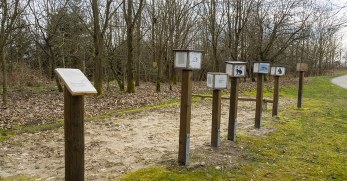 Walderlebnispfad Dorlar BERGFEX Themenweg Tour Nordrhein Westfalen