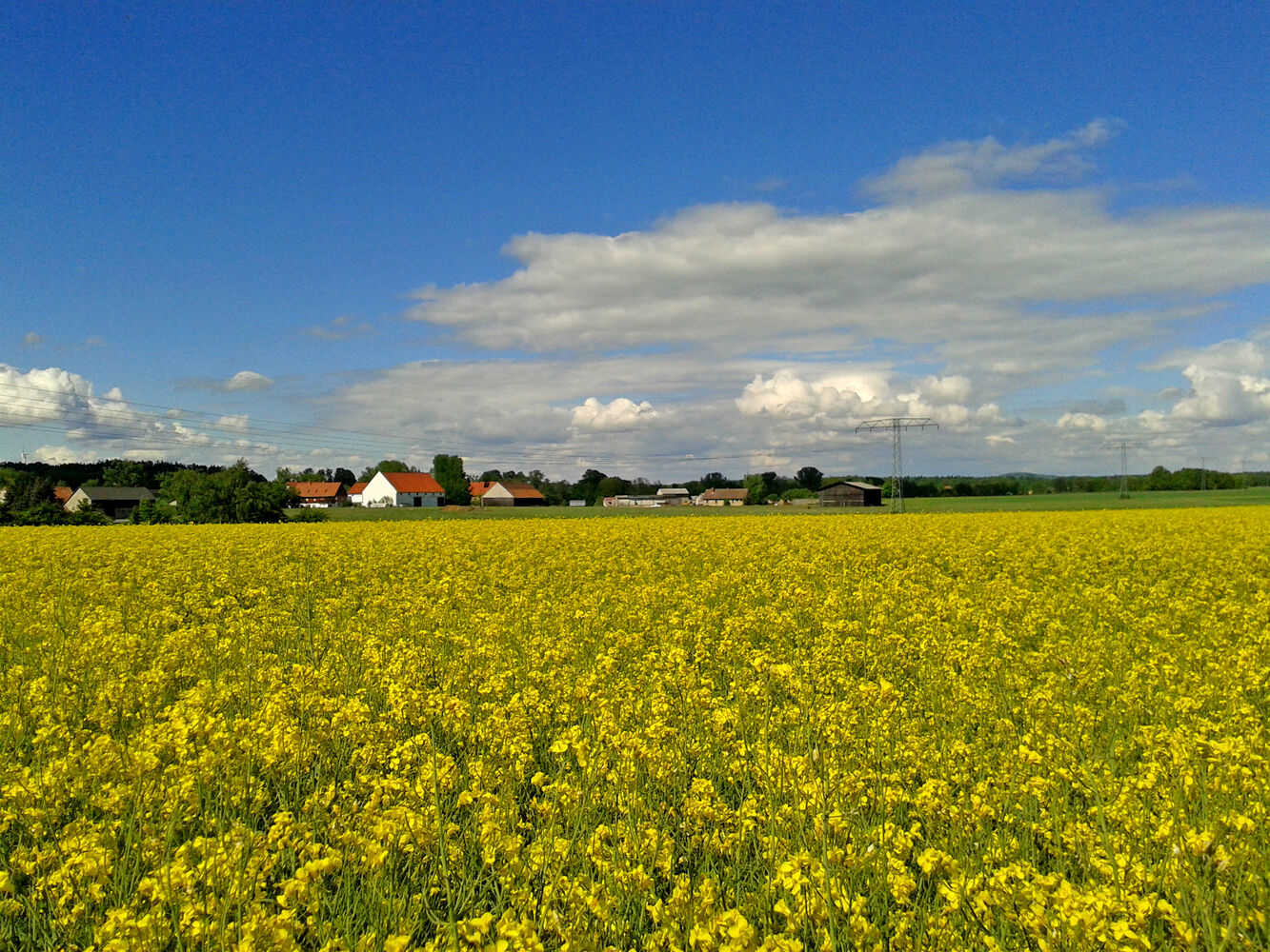 Arnsdorf