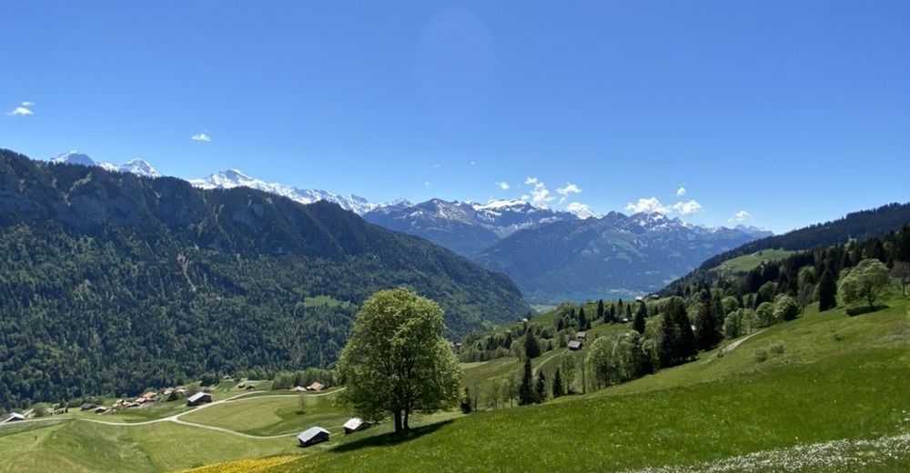 Panorama Rundwanderung Bergfex Wanderung Tour Berner Oberland