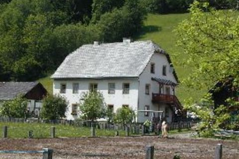 Arche Hof Braschl