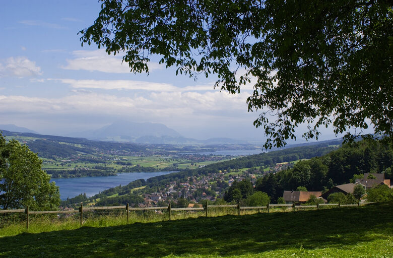 Beinwil am See