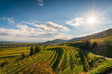 Nußdorf o. d. Traisen