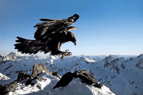 Nationalpark Hohe Tauern Osttirol