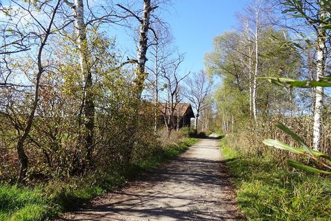 Mooswanderweg