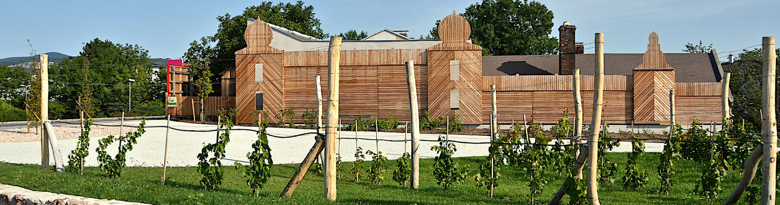 Kottingbrunn