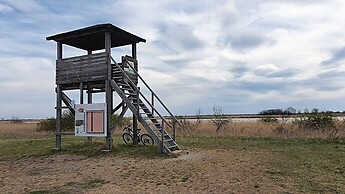 Hölle - Steppentierpark - Weiße Esel