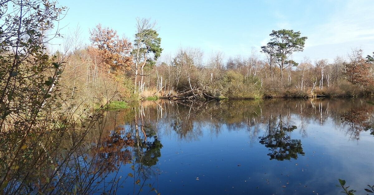 Moor & Meer Ostseestrand und Ribnitzer Großes Moor BERGFEX