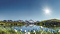 Zomer