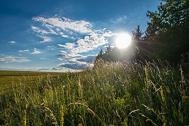 Die Rhön / Thüringen