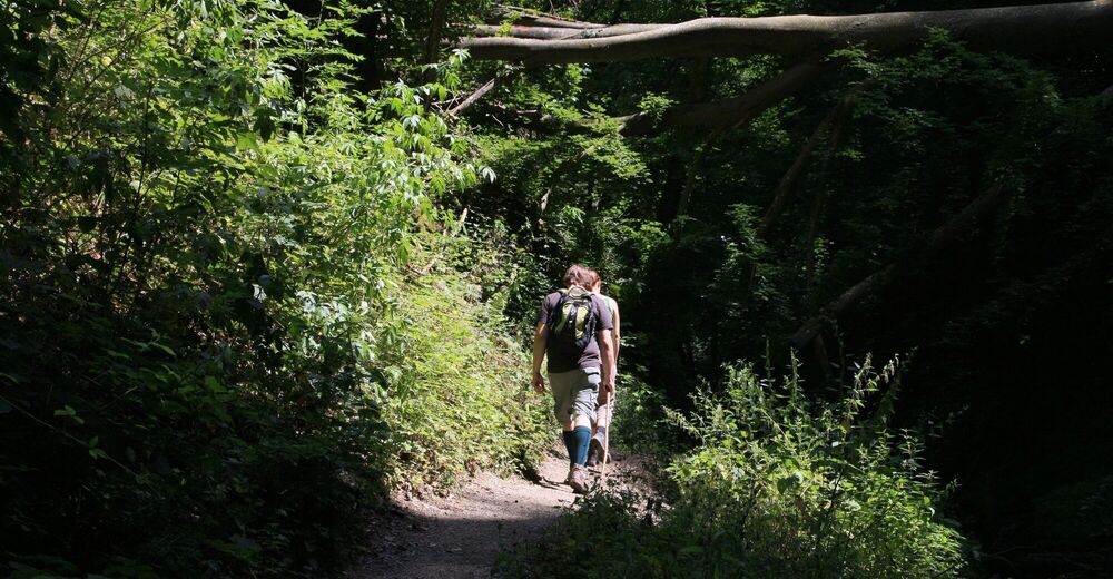 Traumschleife Ehrbachklamm BERGFEX Wanderung Tour Rheinland Pfalz