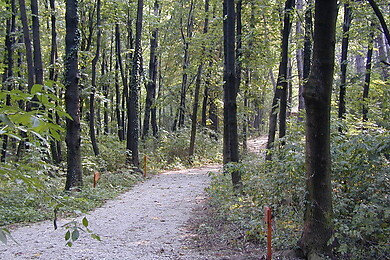 Brunn am Gebirge